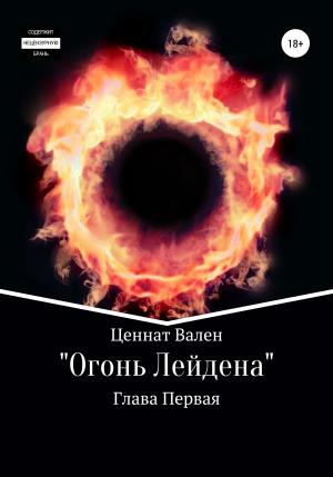 Обложка книги «Огонь Лейдена. Глава первая» — Омар Идрисов
