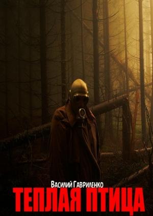 Обложка книги «Теплая Птица» — Василий Гавриленко