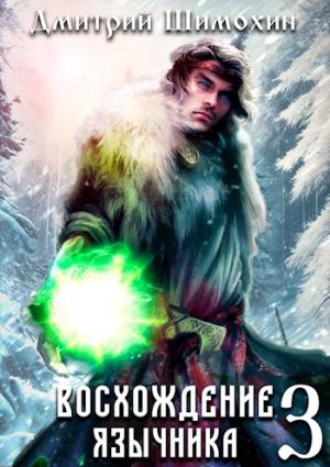 Обложка книги «Восхождение язычника 3» — Дмитрий Шимохин