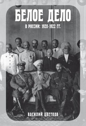 Обложка книги «Белое дело в России. 1920–1922 гг.» — Василий Цветков