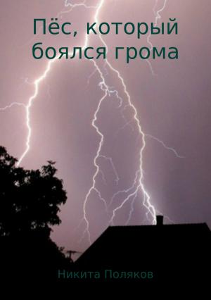 Обложка книги «Пёс, который боялся грома» — Никита Поляков