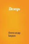 Александр Бирюк - Дождь