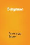 Александр Бирюк - В тупике
