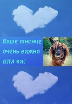 Обложка книги «Ваше мнение очень важно для нас» — Alex Onyx
