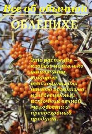 Обложка книги «Все об обычной облепихе» — Иван Дубровин