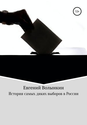 Обложка книги «История самых диких выборов в России» — Евгений Волынкин