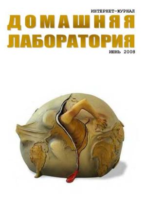 Обложка книги «Интернет-журнал "Домашняя лаборатория", 2008 №6»