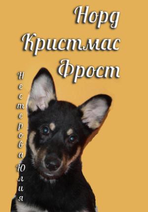Обложка книги «Норд Крисмас Фрост» — Юлия Нестерова