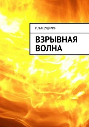 Обложка книги «Взрывная волна» — Илья Бушмин
