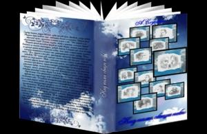 Обложка книги «Над нами общее небо» — Анастасия Слугина