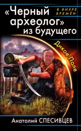 Обложка книги ««Черный археолог» из будущего. Дикое Поле» — Анатолий Спесивцев