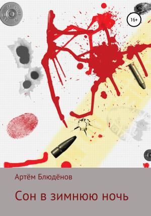 Обложка книги «Сон в зимнюю ночь» — Артём Блюдёнов