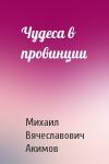 Михаил Акимов - Чудеса в провинции