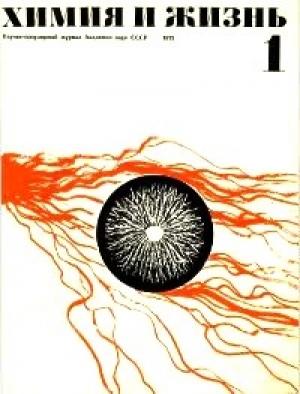Обложка книги «Вася» — Валентин Рич