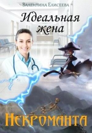 Обложка книги «Идеальная жена некроманта» — Валентина Елисеева