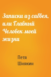 Записки из сабвея, или Главный Человек моей жизни