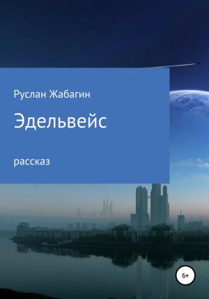 Обложка книги «Эдельвейс» — Руслан Жабагин