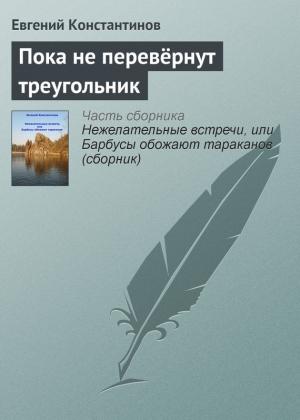 Обложка книги «Пока не перевёрнут треугольник» — Евгений Константинов