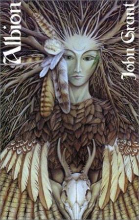 Обложка книги «Альбион» — Джон Грант