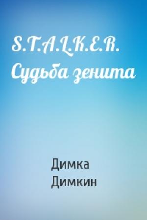 Обложка книги «S.T.A.L.K.E.R. Судьба зенита» — Димка Димкин