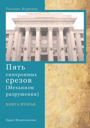 Обложка книги «Пять синхронных срезов (механизм разрушения). Книга вторая» — Татьяна Норкина