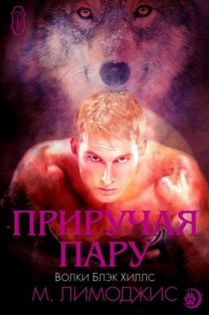 Обложка книги «Приручая пару» — М. Лимоджис