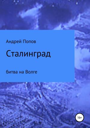 Обложка книги «Сталинград: битва на Волге» — Андрей Попов