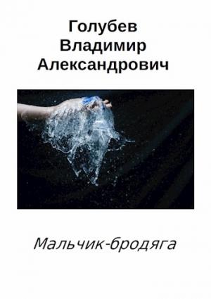 Обложка книги «Мальчик-бродяга» — Владимир Голубев
