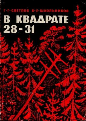 Обложка книги «В квадрате 28-31» — Георгий Светлов, Кирилл Школьников