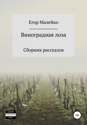 Обложка книги «Виноградная лоза. Сборник рассказов» — Егор Малейко