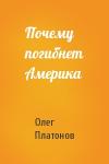 Олег Платонов - Почему погибнет Америка