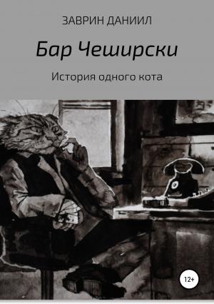 Обложка книги «История одного кота» — Даниил Заврин
