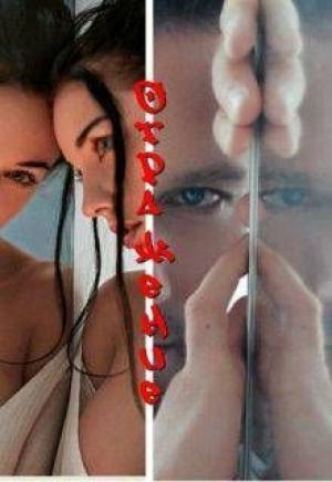 Обложка книги «Отражение» — Светла Литвин