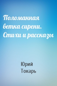Поломанная ветка сирени. Стихи и рассказы