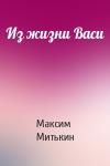 Максим Митькин - Из жизни Васи