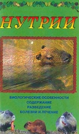 Обложка книги «Нутрии» — Дарья Нестерова