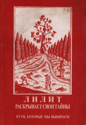 Обложка книги «Лилит раскрвывает свои тайны: Пути, которые мы выбираем» — Елена Сущинская