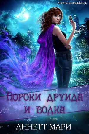 Обложка книги «Пороки друида и водка» — Аннетт Мари