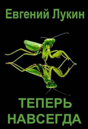 Обложка книги «Теперь навсегда» — Евгений Лукин
