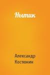 Александр Костюнин - Нытик