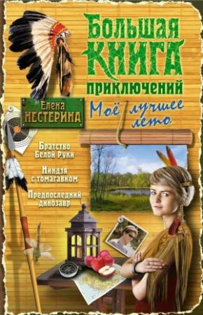 Обложка книги «Большая книга приключений. Мое лучшее лето» — Елена Нестерина