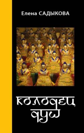 Обложка книги «Колодец душ» — Елена Садыкова