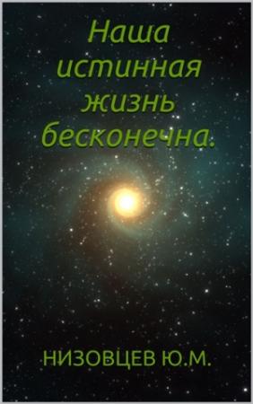 Обложка книги «Наша истинная жизнь бесконечна» — Юрий Низовцев