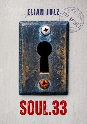 Обложка книги «SOUL.33» — Elian Julz
