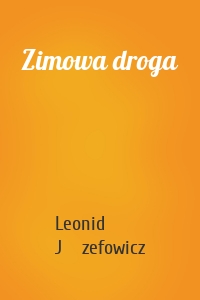 Zimowa droga