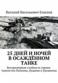 Виталий Елисеев - 25 дней и ночей в осаждённом танке