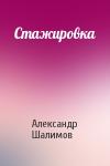 Александр Шалимов - Стажировка