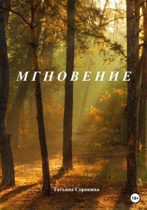 Обложка книги «Мгновение» — Татьяна Сорокина