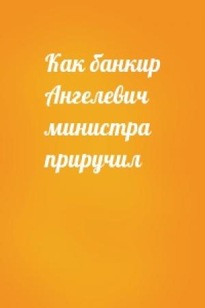 Обложка книги «Как банкир Ангелевич министра приручил»