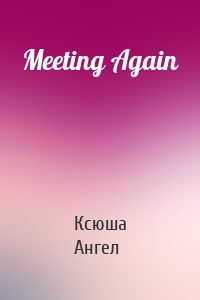 Meeting Again